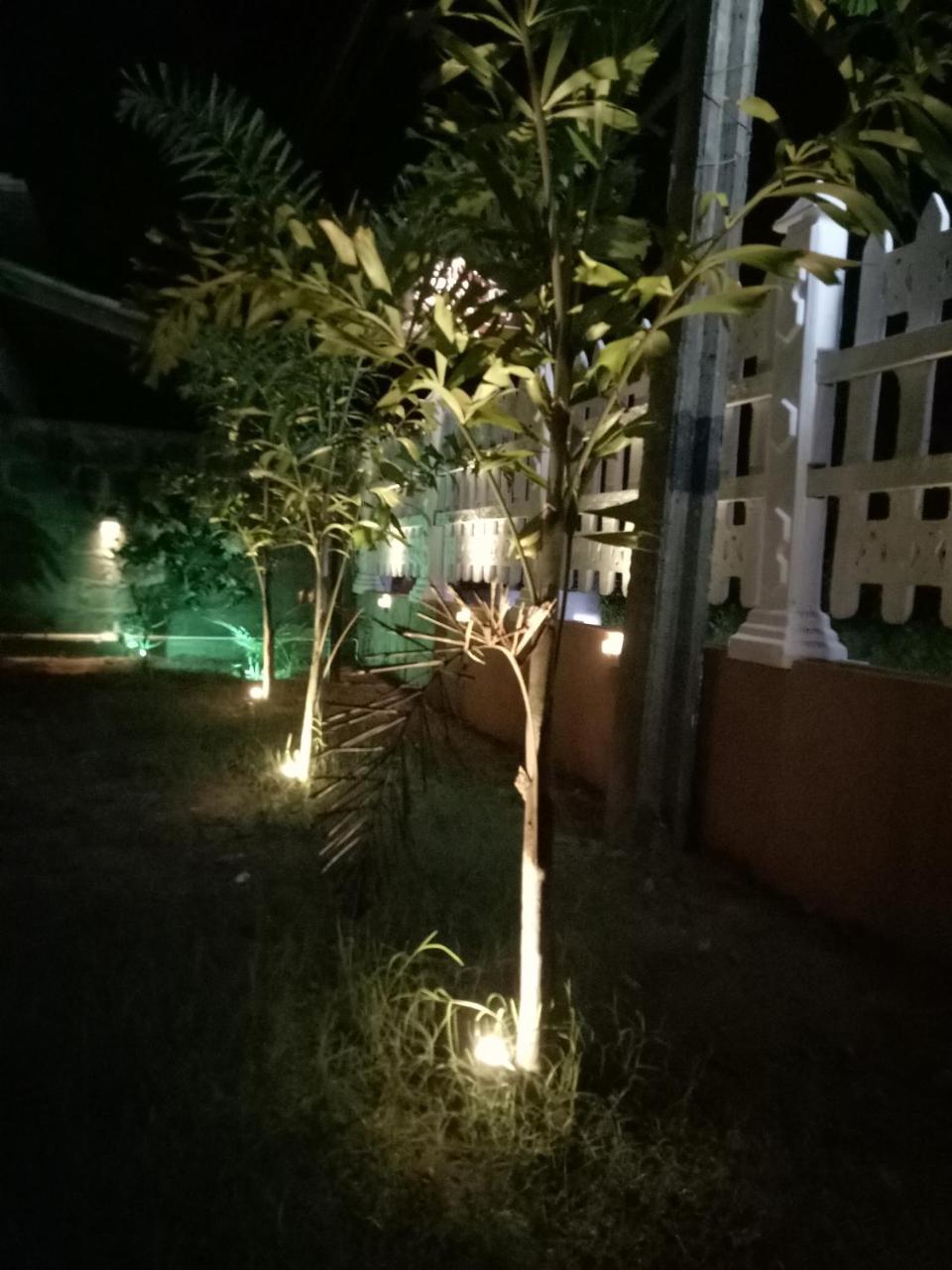 טנגלה Janu Homestay מראה חיצוני תמונה